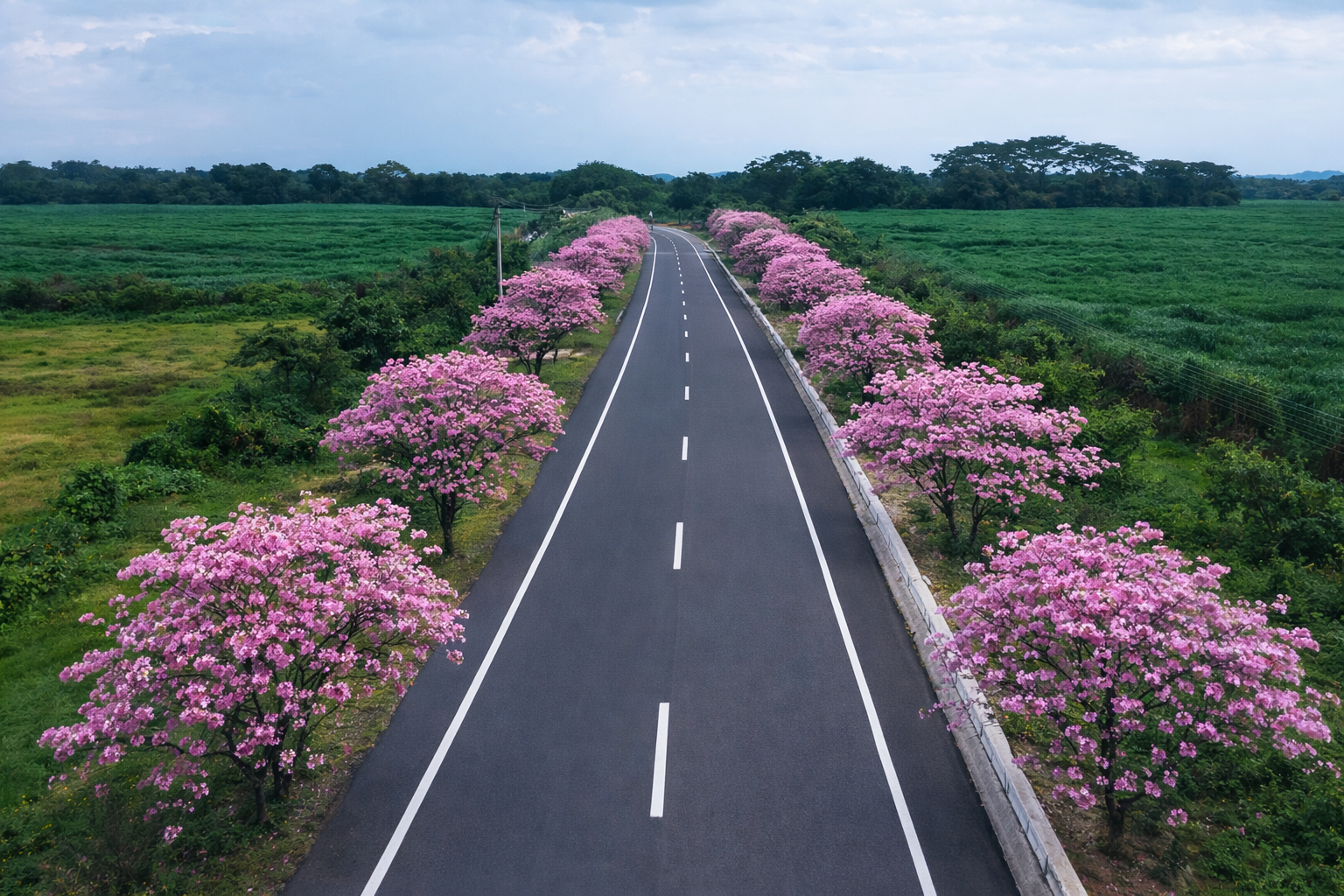Macuelizos en Choloma, Honduras